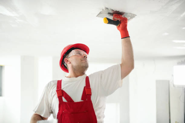 Juarez, TX Painting & Drywall Installation Company